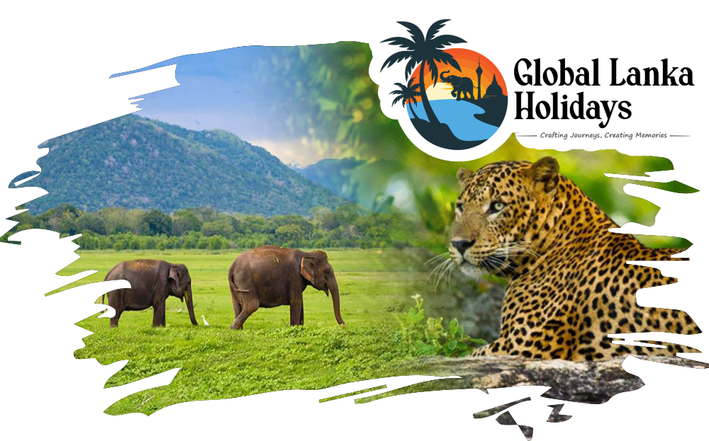 Globle Lanka Holidays Logo